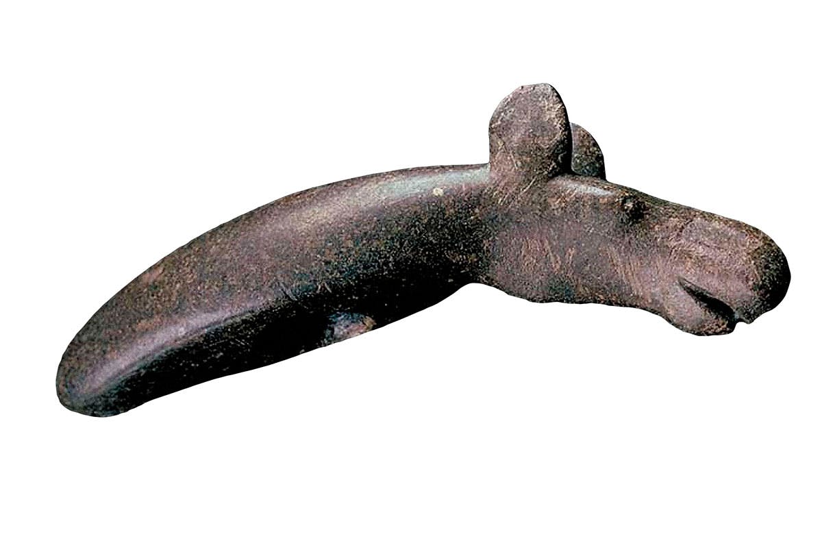 Stenaldern Arkeologiska Fynd Stenaldern Arkeologiska Fynd